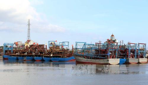 Xây dựng quy hoạch phát triển khai thác hải sản xa bờ